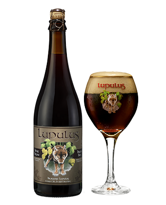 Brasserie Lupulus Brune