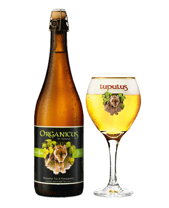 Brasserie Lupulus Organicus