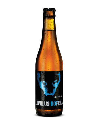 Brasserie Lupulus Hopera