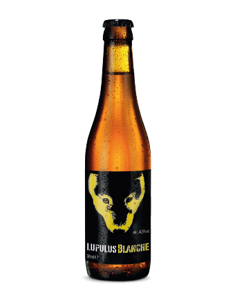 Brasserie Lupulus Blanche