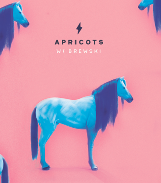 Garage Beer Co Apricots
