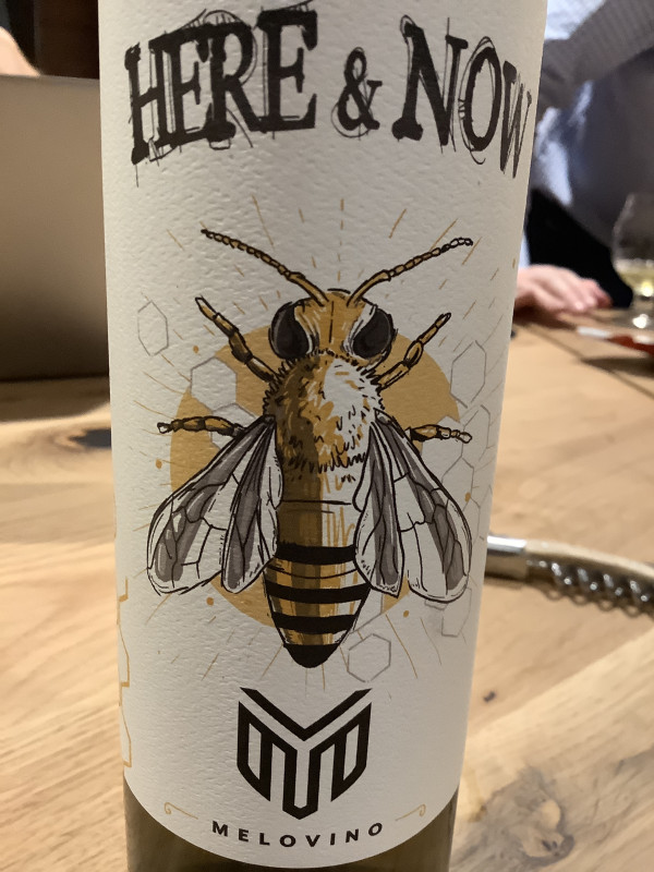 Melovino Meadery Here & Now