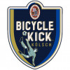 Baird Brewing Co. Bicycle Kick Kölsch