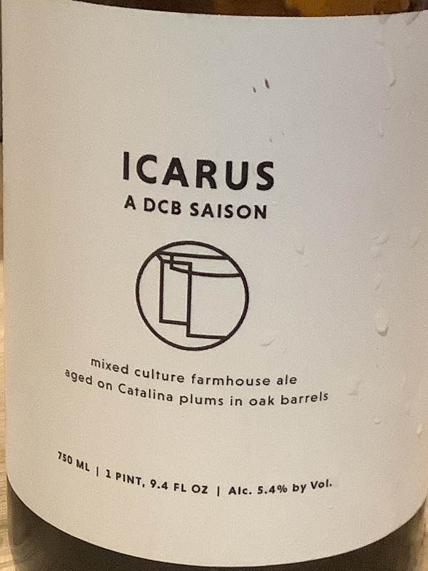 Dirty Couch Brewing Icarus