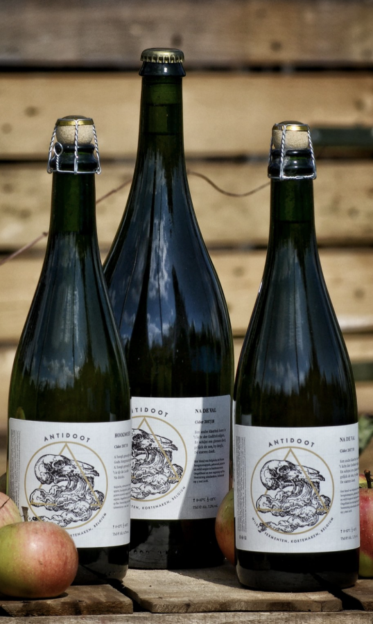 Antidoot Wilde Fermenten Na De Val
