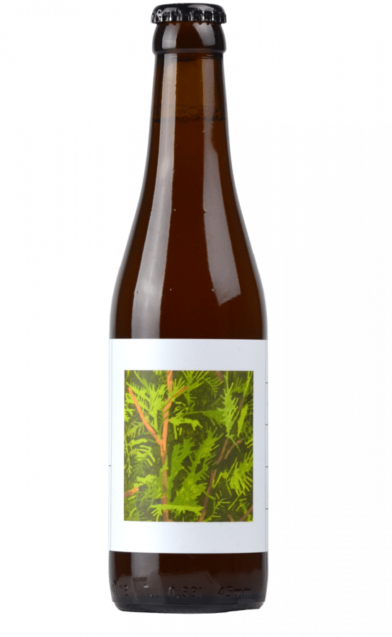 O/O Brewing Evergreen