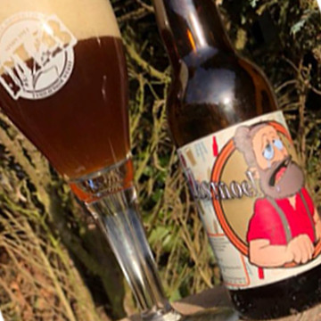 De Lastige Broertjes (DLB) Janksmoel