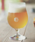 Kyoto Brewing Company Ichii Senshin (~2020)