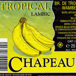 Brouwerij De Troch Chapeau Tropical