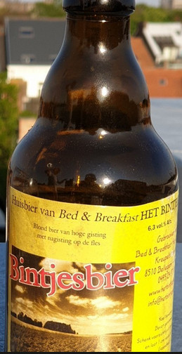Brouwerij Alvinne Bintjesbier