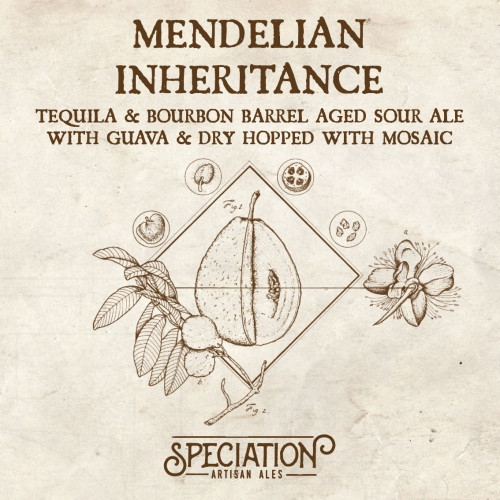 Speciation Artisan Ales Mendelian Inheritance