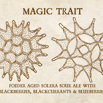 Speciation Artisan Ales Magic Trait (2019)