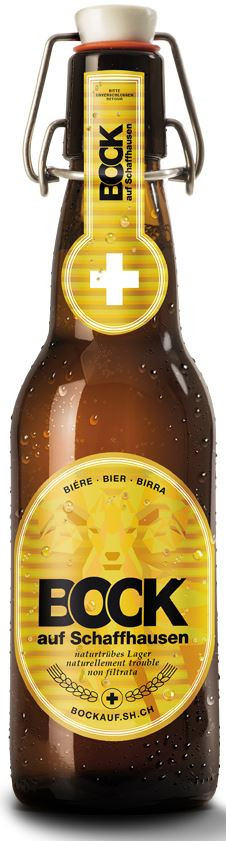 Falken Bock auf Schaffhausen