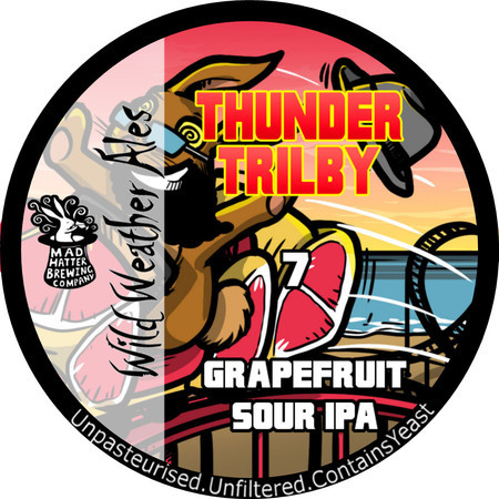 Wild Weather Ales Thunder Trilby