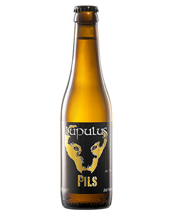 Brasserie Lupulus Pils
