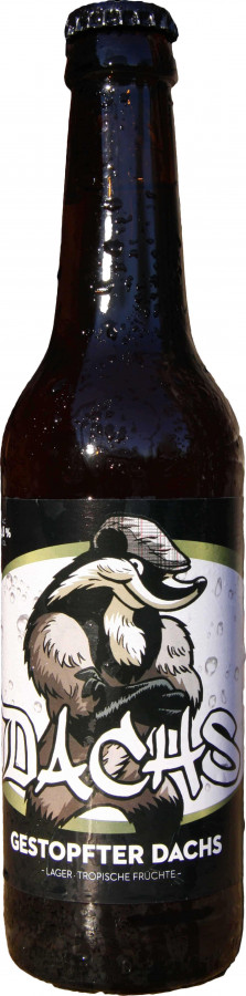 Sommerbecker Brauerei (Dachs) Gestopfter Dachs