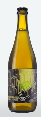 Garage Project Marion Street Saison