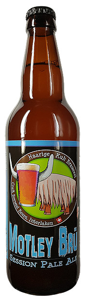 Haarige Kuh Motley Brü