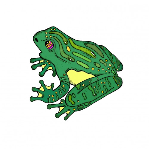 Fermenterarna What The Frog!?