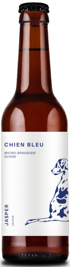 Chien Bleu Jasper