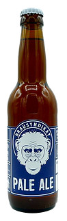 Brausyndikat Pale Ale
