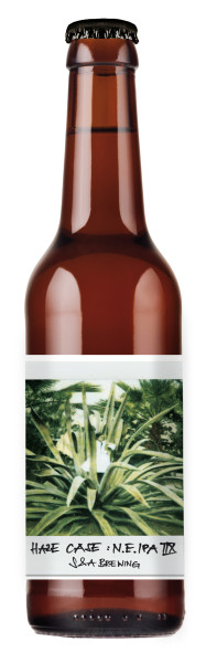 S&A Brewing (Storm&Anchor) Haze Case: N.E. IPA IIX