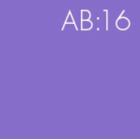 BrewDog Abstrakt AB:16