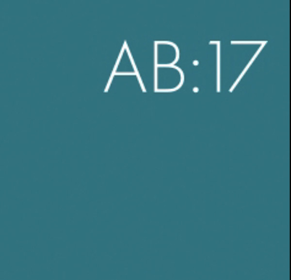 BrewDog Abstrakt AB:17
