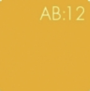BrewDog Abstrakt AB:12