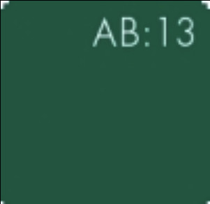 BrewDog Abstrakt AB:13