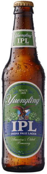 Yuengling Brewery IPL