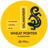 Browar Stu Mostów Salamander Wheat Porter