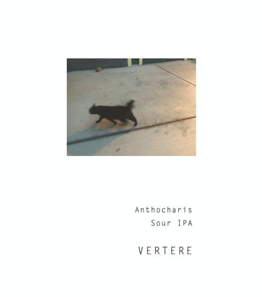 Vertere Anthocharis