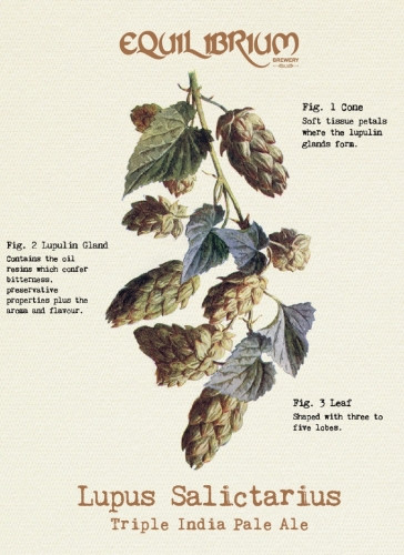 Beer image