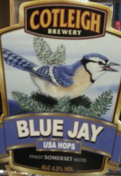 Cotleigh Brewery Blue Jay