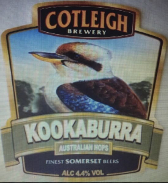 Cotleigh Brewery Kookaburra