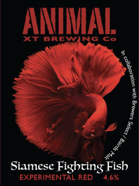 Animal Brewing Co Siamese Fighting Fish