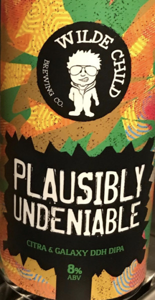 Wilde Child Brewing Co Plausibly Undeniable