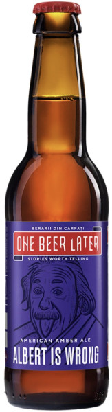 One Beer Later (Berăria Calul Bun) Albert is Wrong