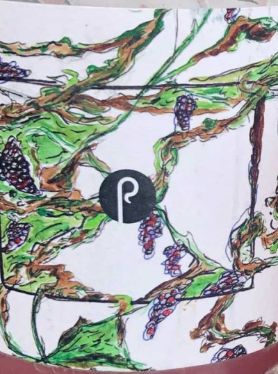 Pastore Brewing and Blending Il Vigneto (2020)