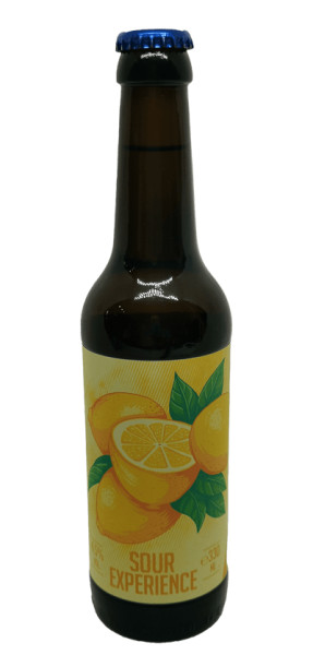Brewery52 Sour Experience