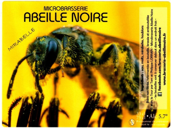 Abeille Noire Blonde Mirabelle