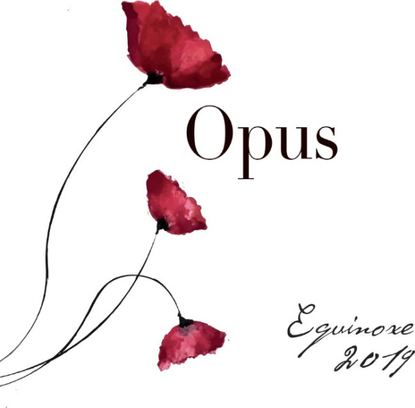 Ammonite Opus Equinox 2019