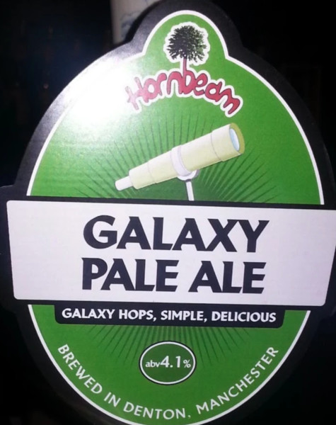 Epicurus Brewing Galaxy Pale Ale