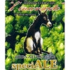 L'Inconsueto (Birrificio Bustese) SpeciALE