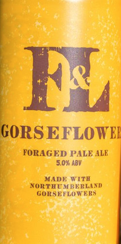 Beer image