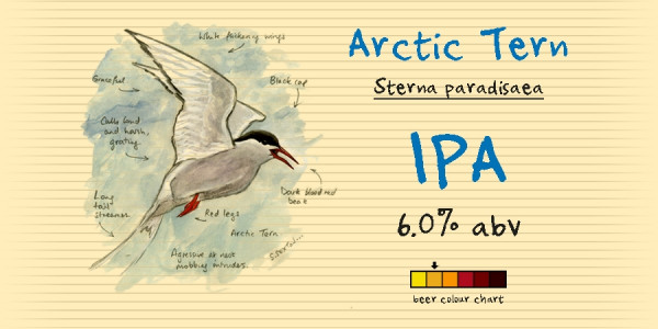 From The Notebook Arctic Tern