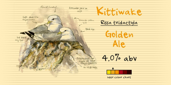 From The Notebook Kittiwake