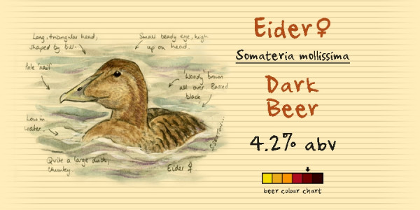 From The Notebook Eider