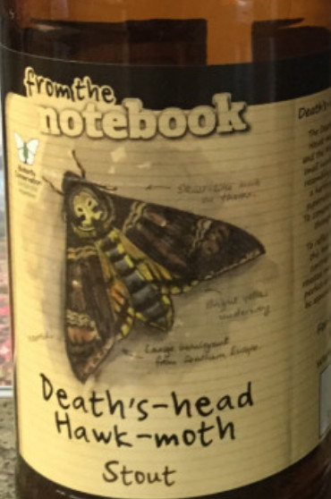 From The Notebook Death's-Head Hawk-Moth